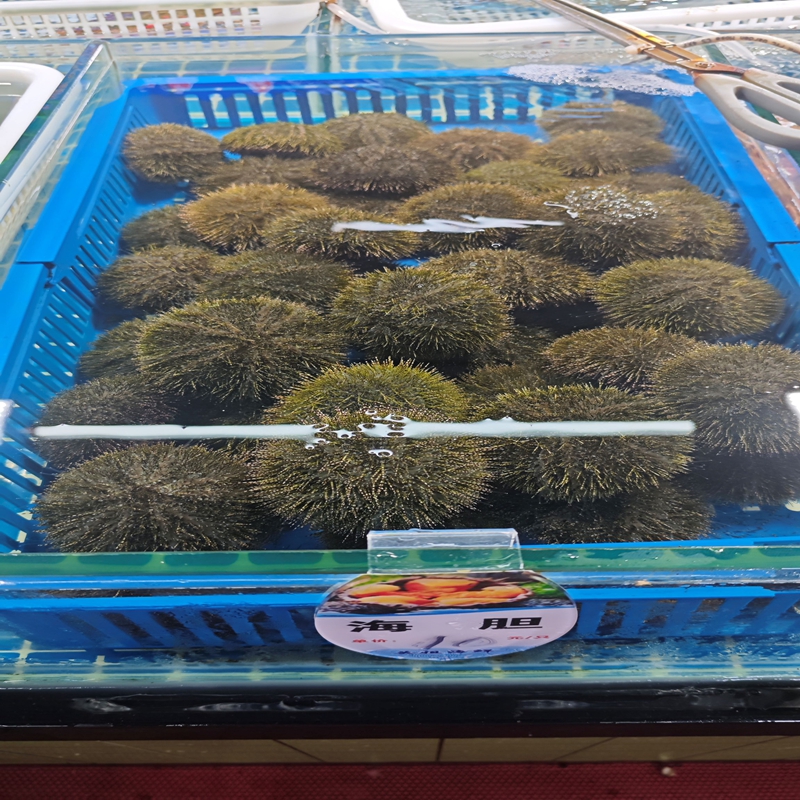 市场内丰富的海鲜摊位