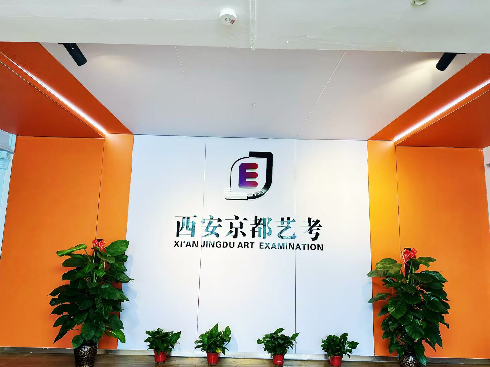专业形体训练