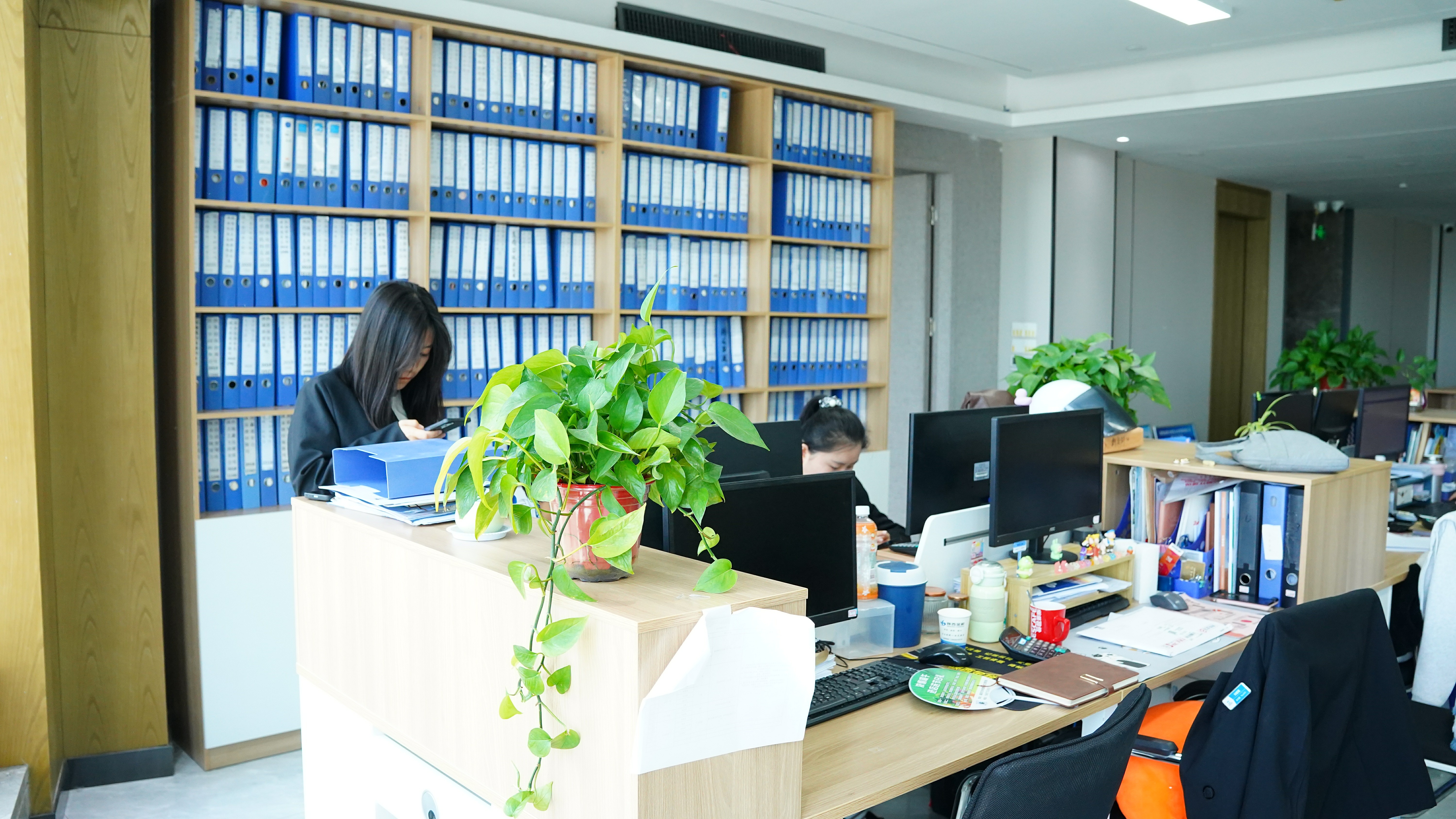 智能财税系统演示