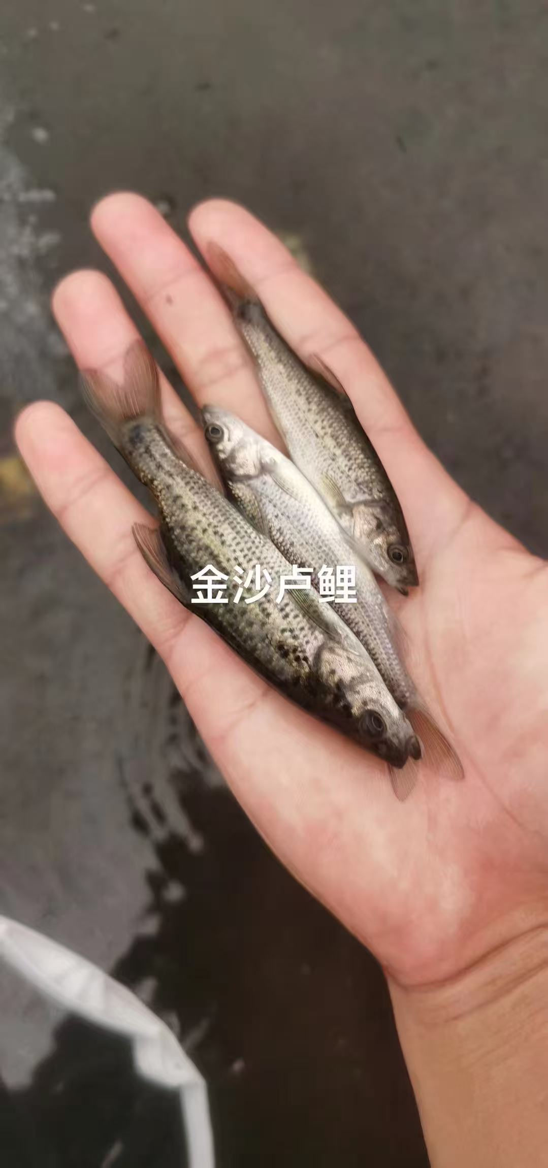微信图片_20260525141136_230_50.jpg