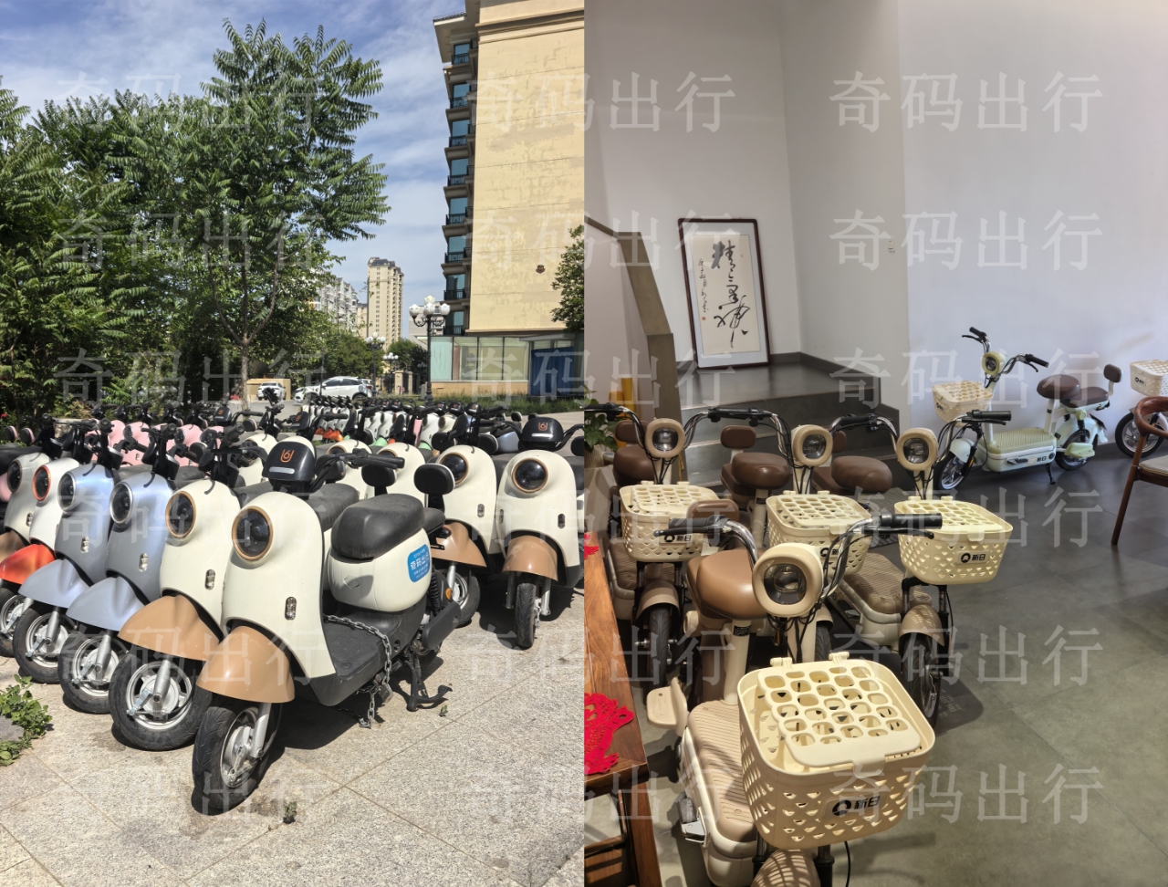 奇码出行服务网络示意图