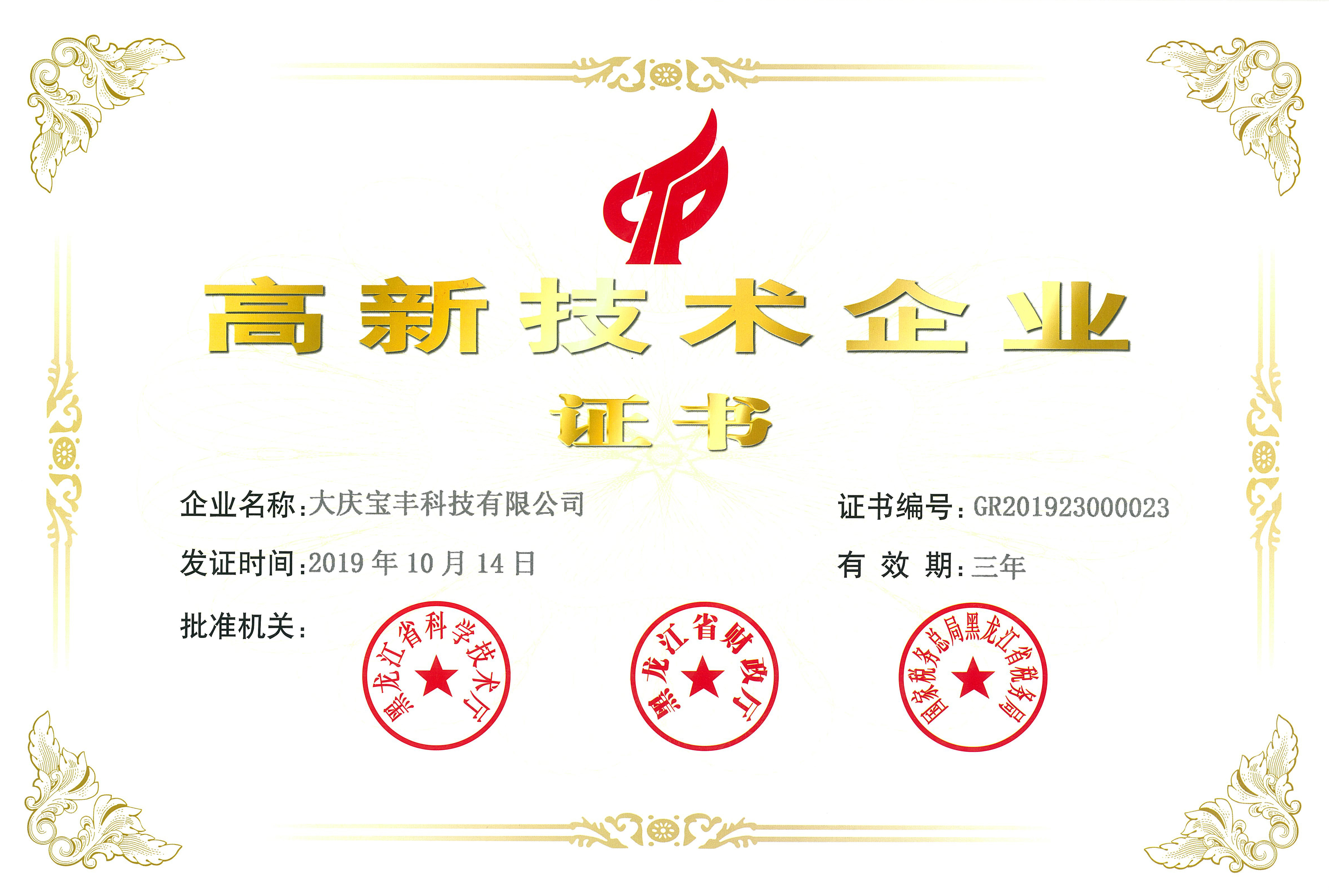 新高企证书2019.jpg