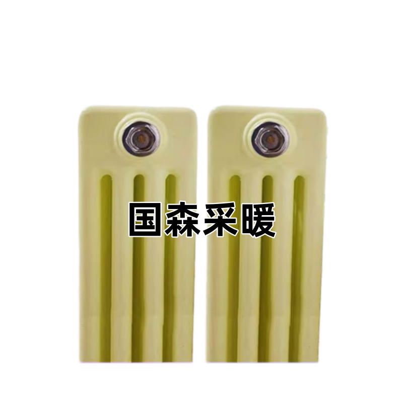 钢六柱暖气片产品图示