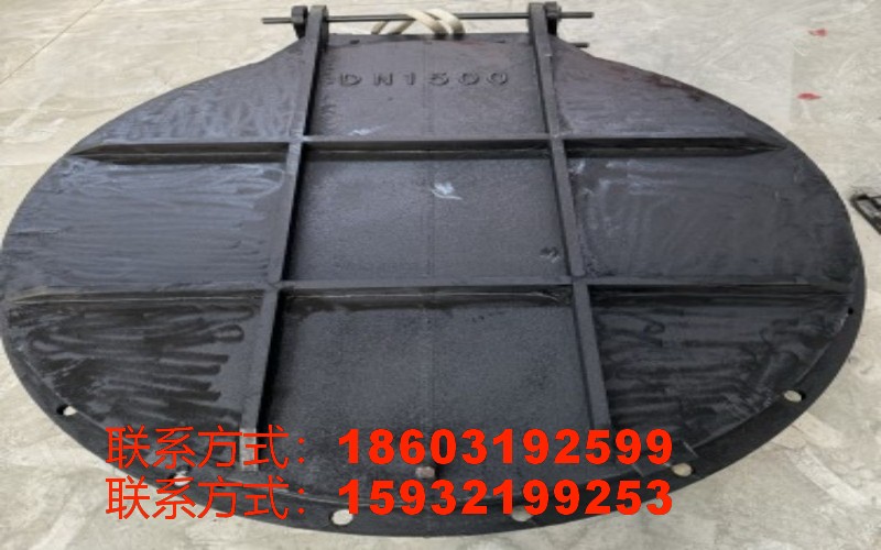 其他水工产品如铸铁拍门示意