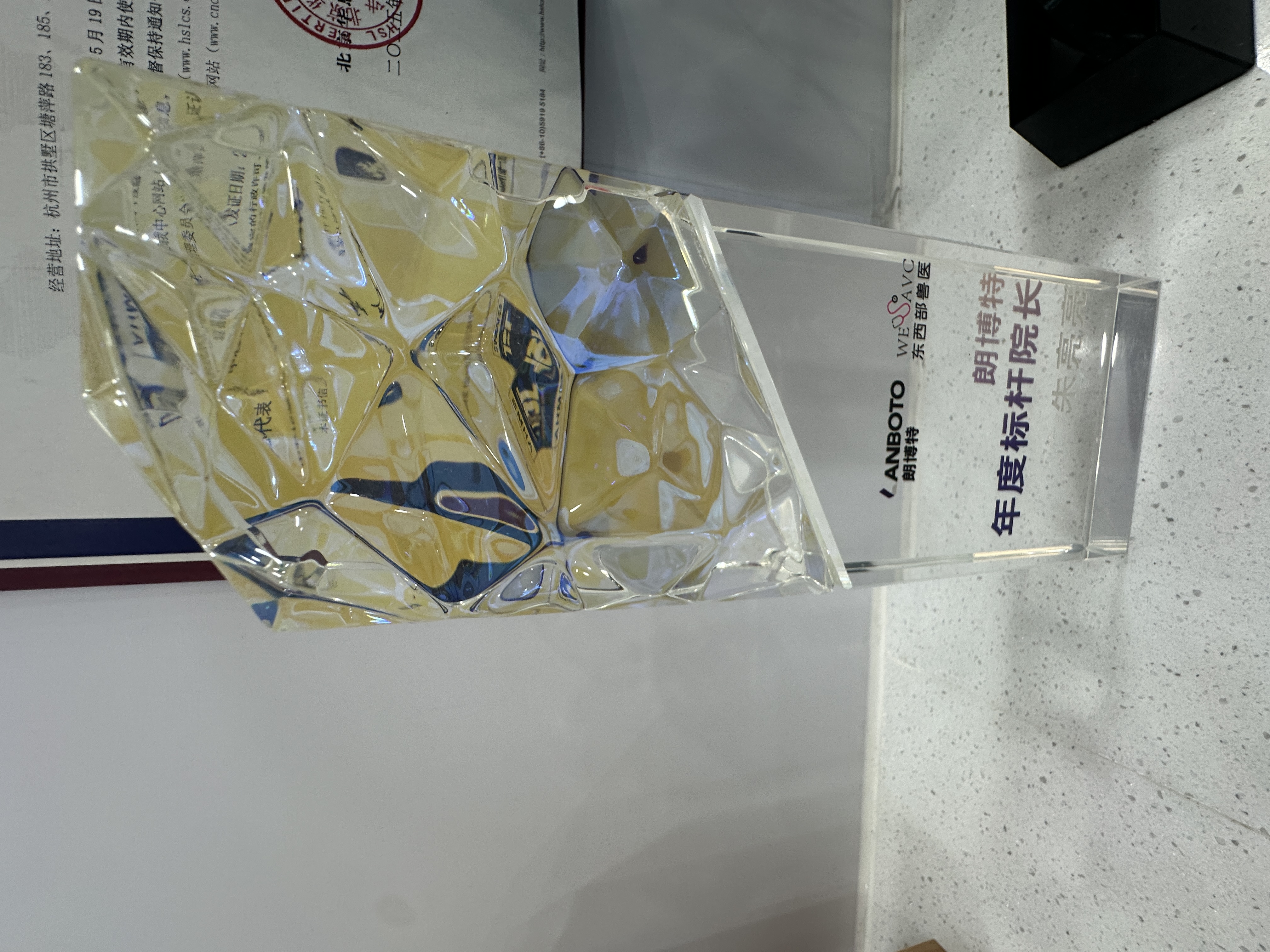 年度标杆院长.JPG