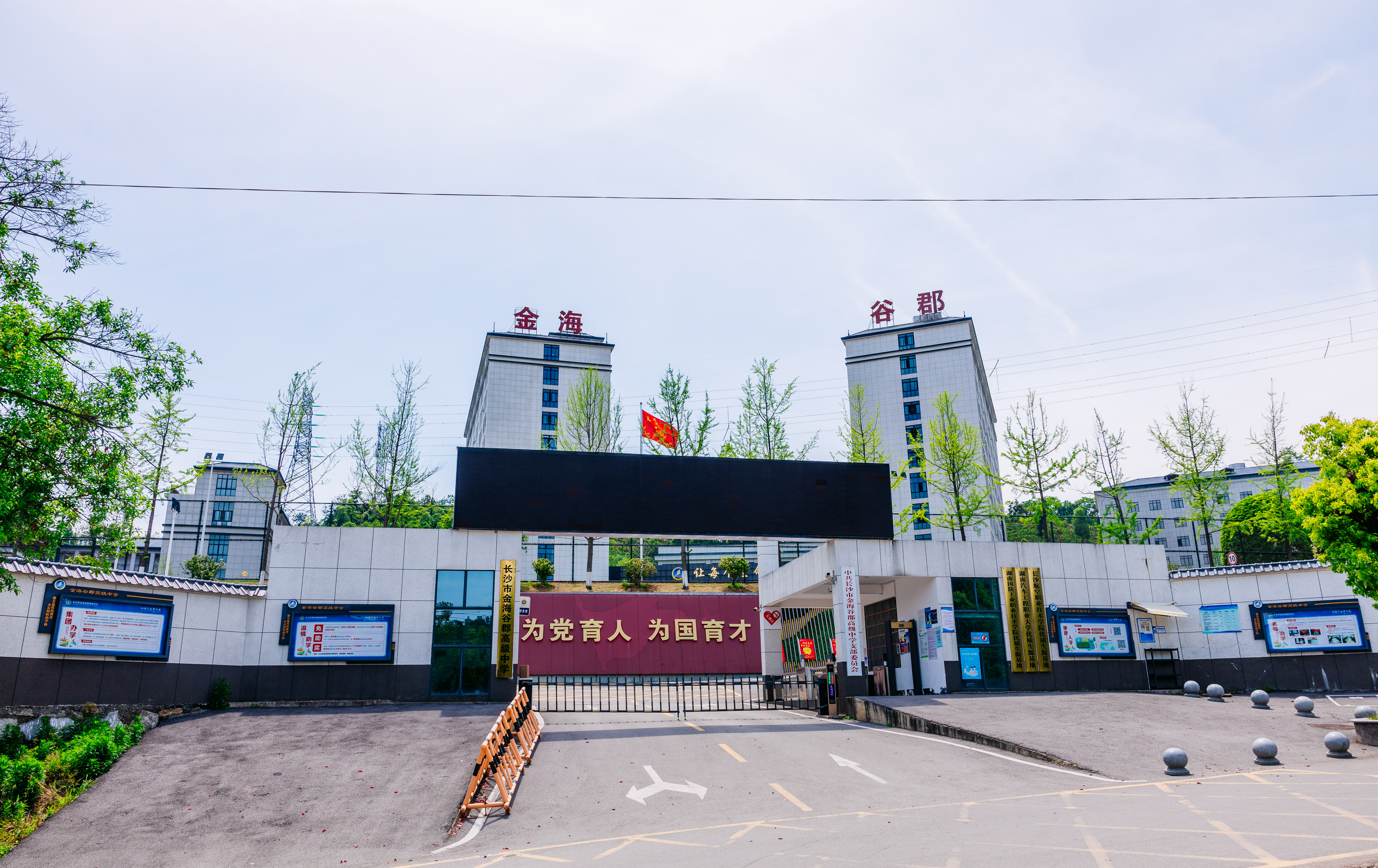 师资与教学