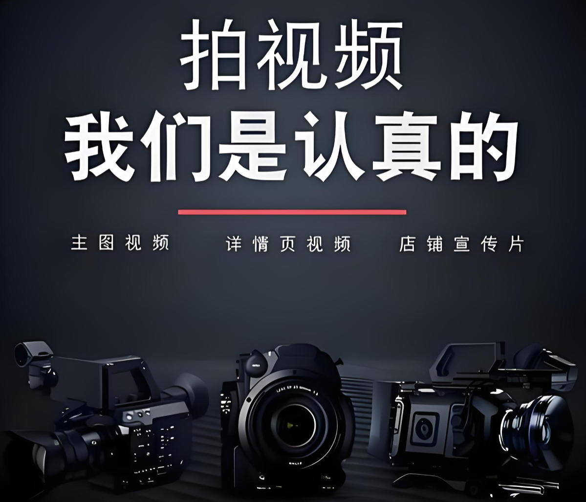 公司团队或办公环境