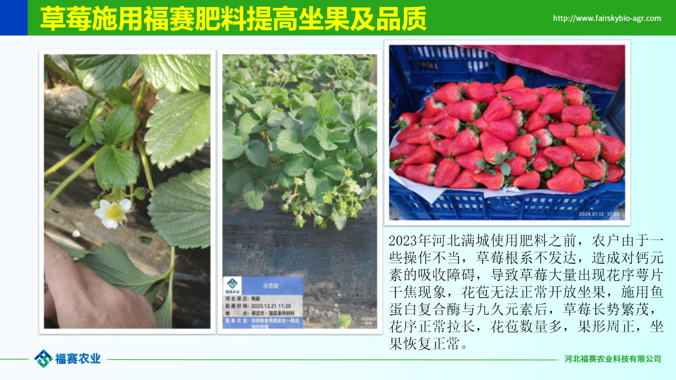 现代化农业种植场景