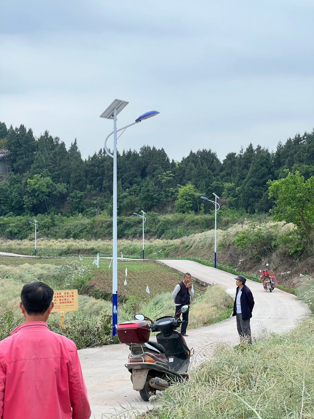 2026年绵阳地区光伏路灯服务商综合实力与口碑深度解析