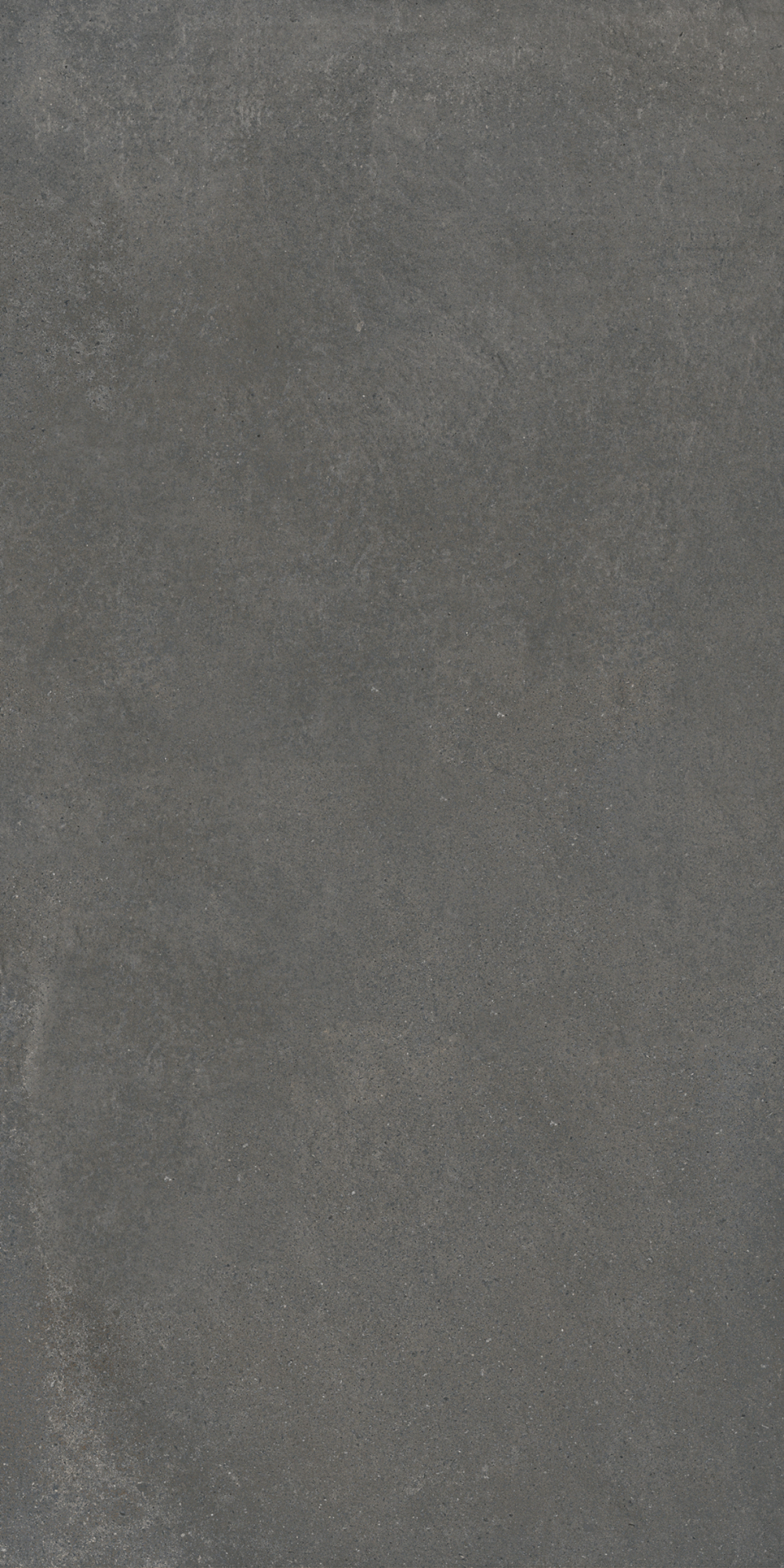 12R51——.jpg