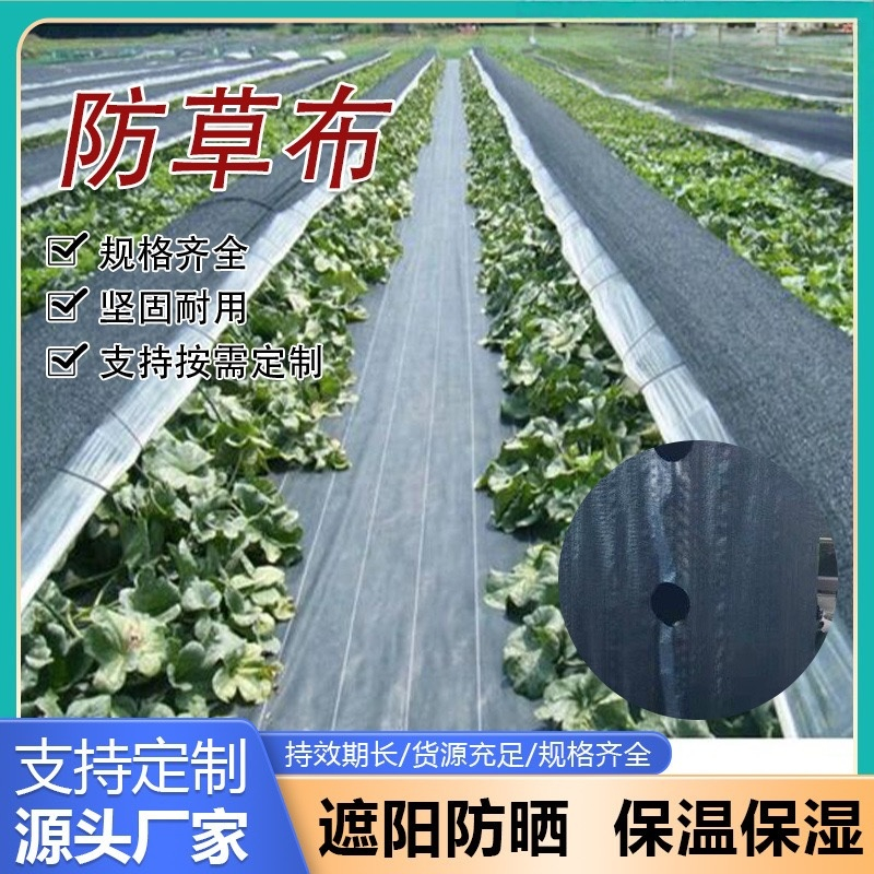 可克达拉站防草布 - 一站式服务
