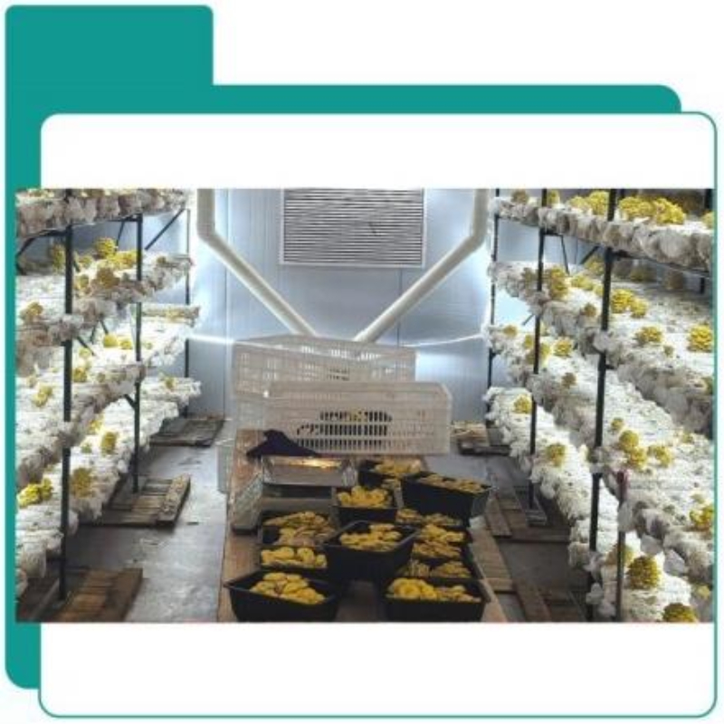 食用菌智慧方舱控制系统界面示意