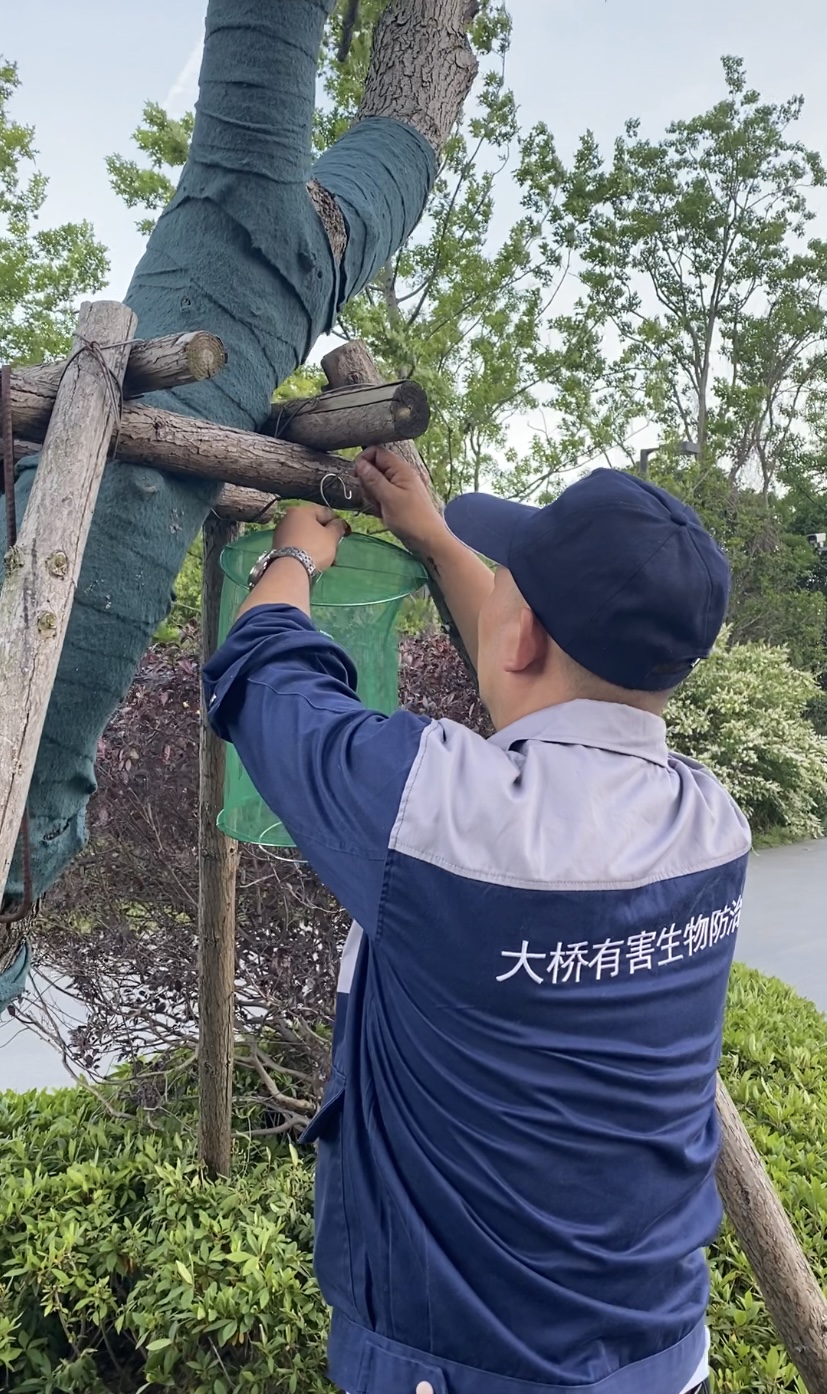 垃圾站经过专业消杀治理后,环境得到显著改善的示意图