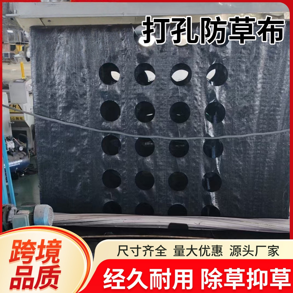 微信图片_20260621142738_159_31_副本.jpg