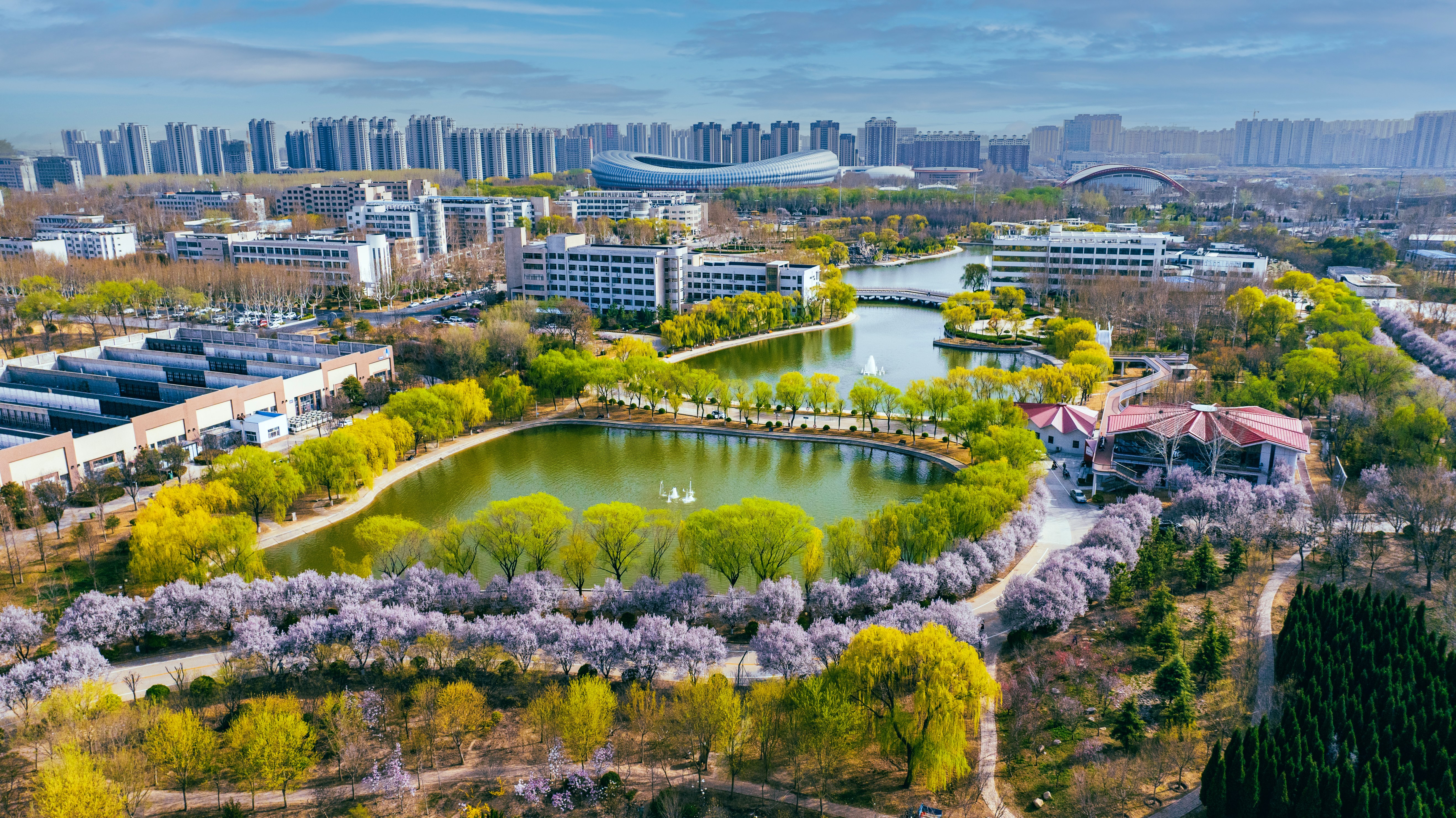 聊城大学校园风景