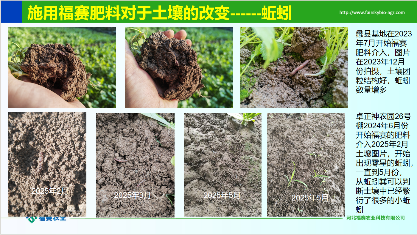 微信图片_20260601153207_660_5.png