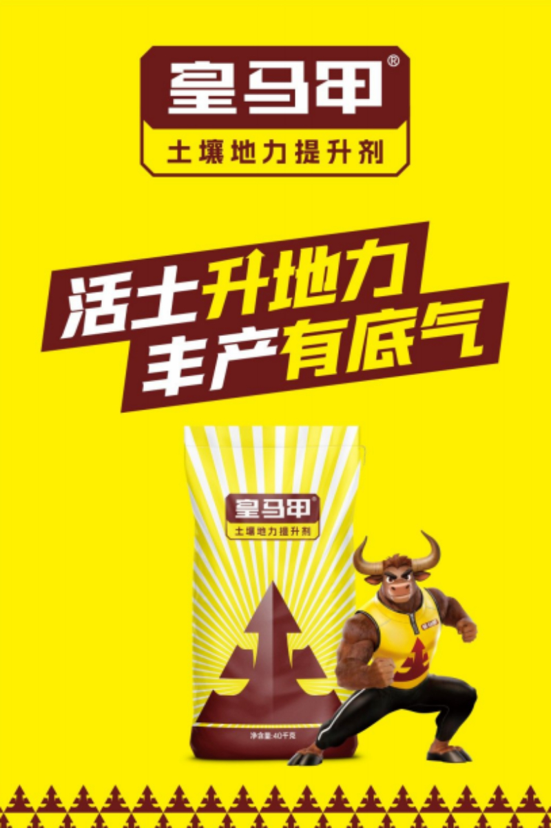 皇马甲土壤地力提升剂田间应用效果