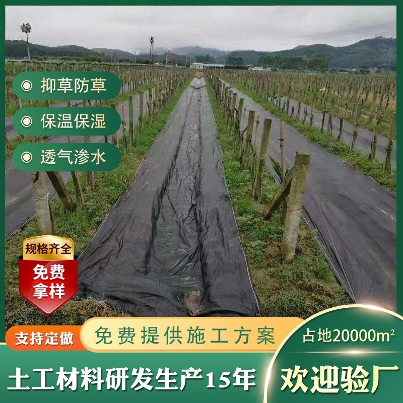 可克达拉站育苗防草布 - 一站式服务
