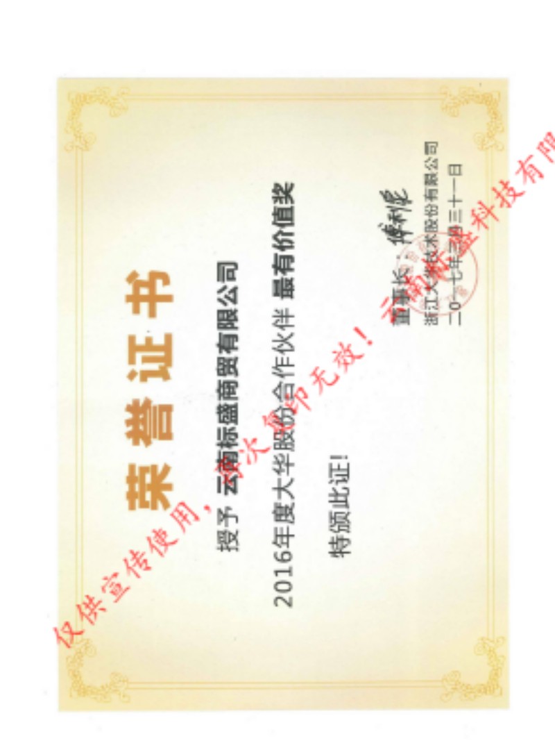 16年大华最有价值伙伴奖.jpg