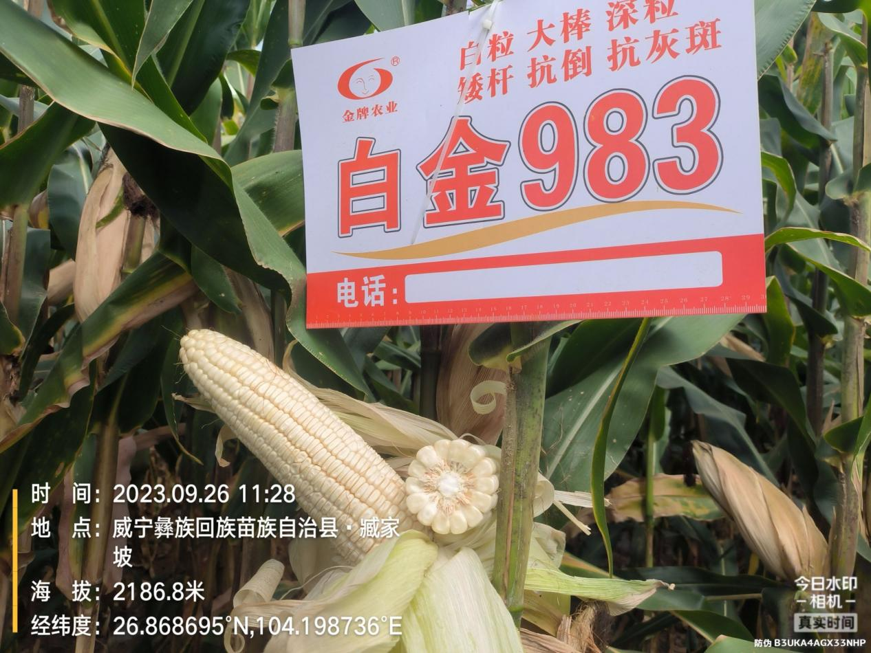 图片 46.png
