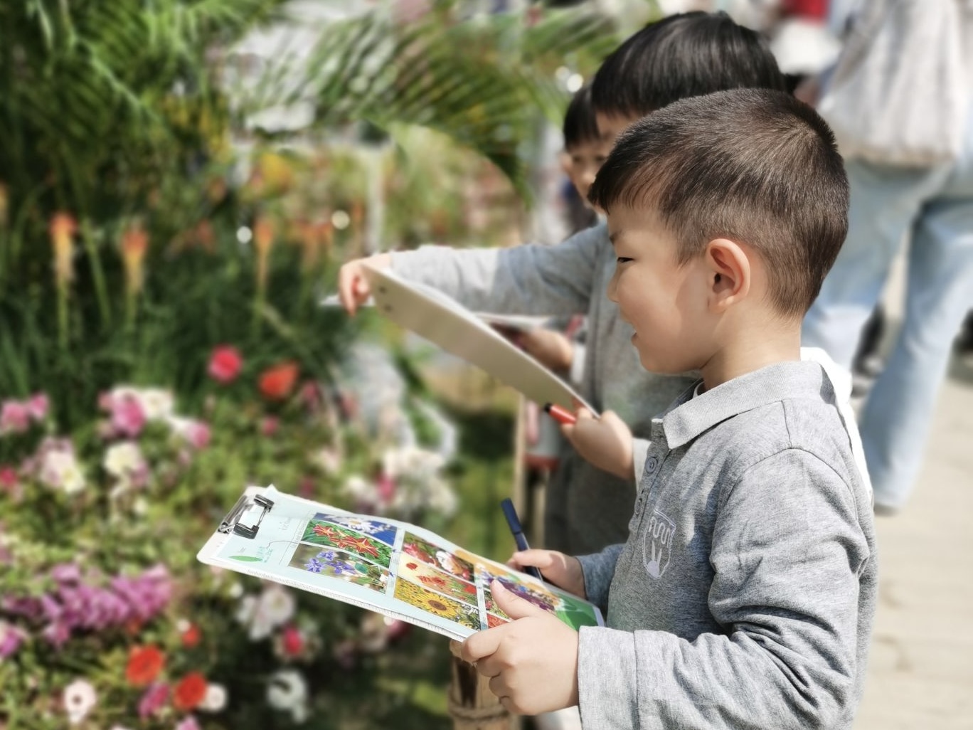 幼儿在纯英文环境中进行项目探究