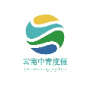 云南中青度假国际旅行社有限公司