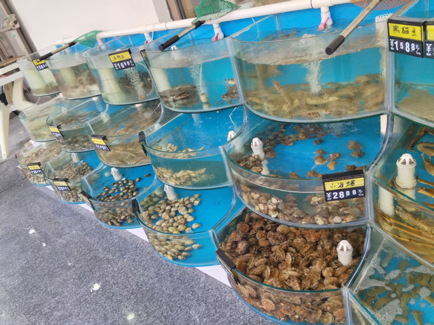酱炖海杂鱼菜品示意