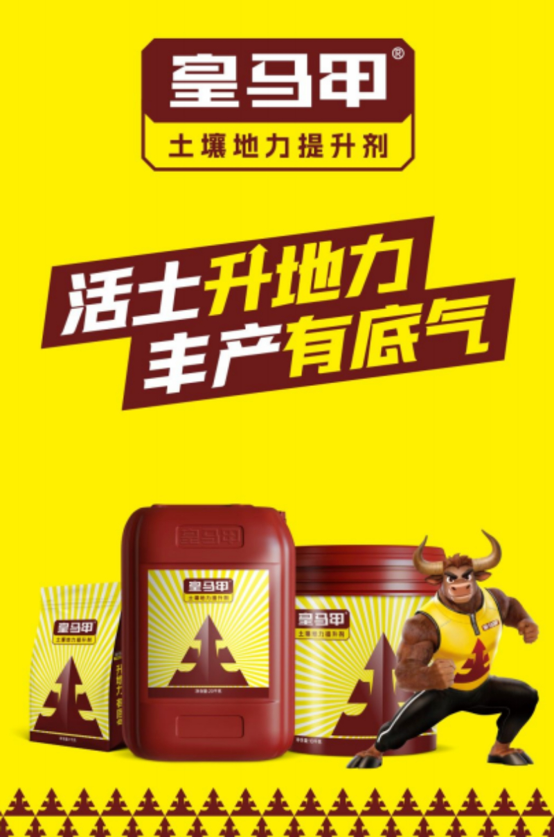 皇马甲产品应用示意