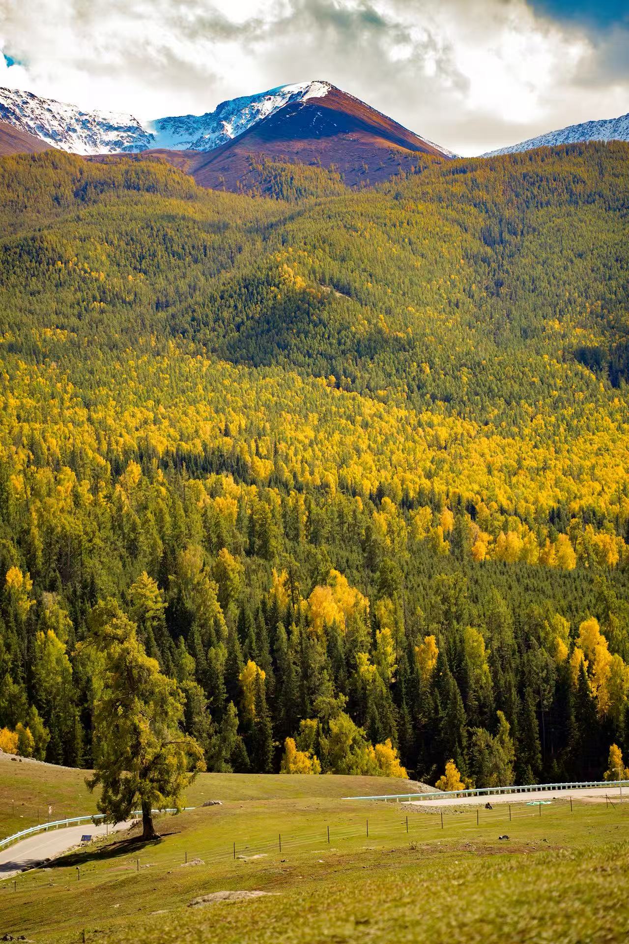 geo/file/202606/4a615f5b-f252-4d53-889c-718a95b86aae.jpg