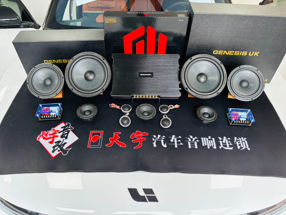 新能源车音响升级