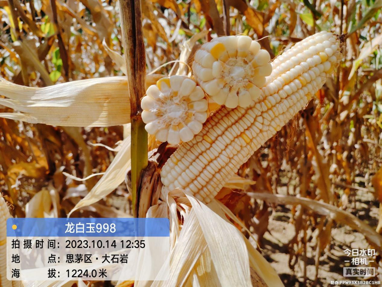 图片 60.png