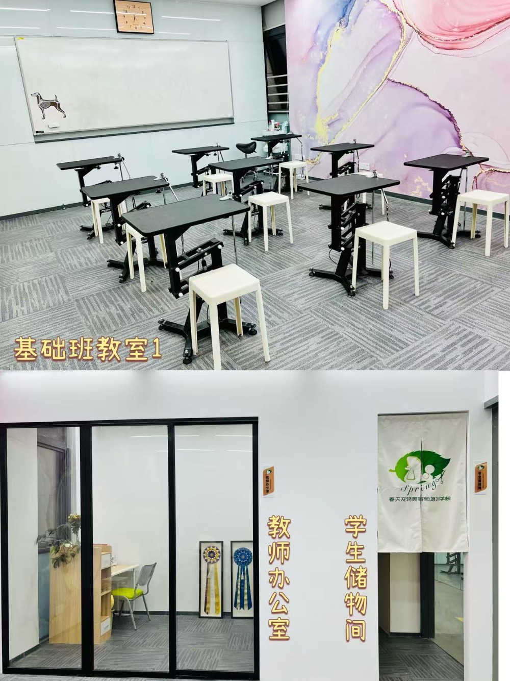 学员作品