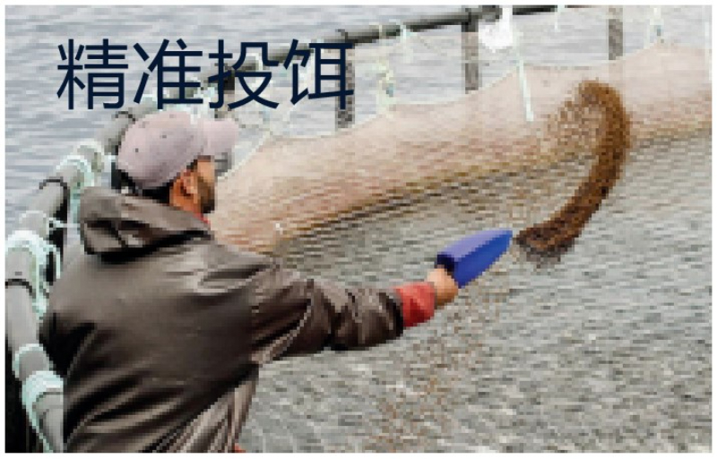 无人机培训