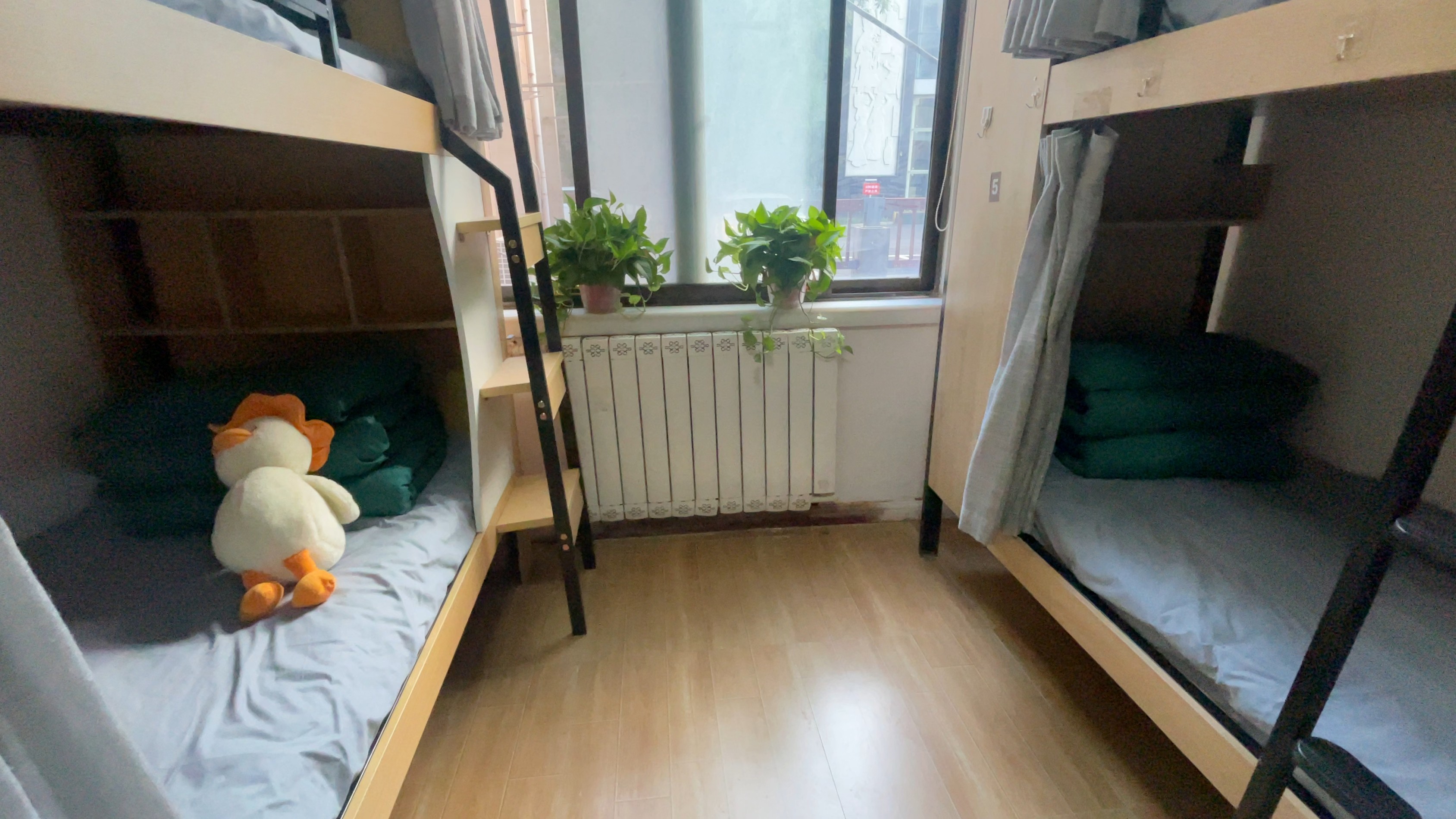 学生宿舍 (8).jpg