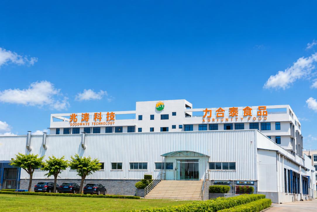 工厂全景