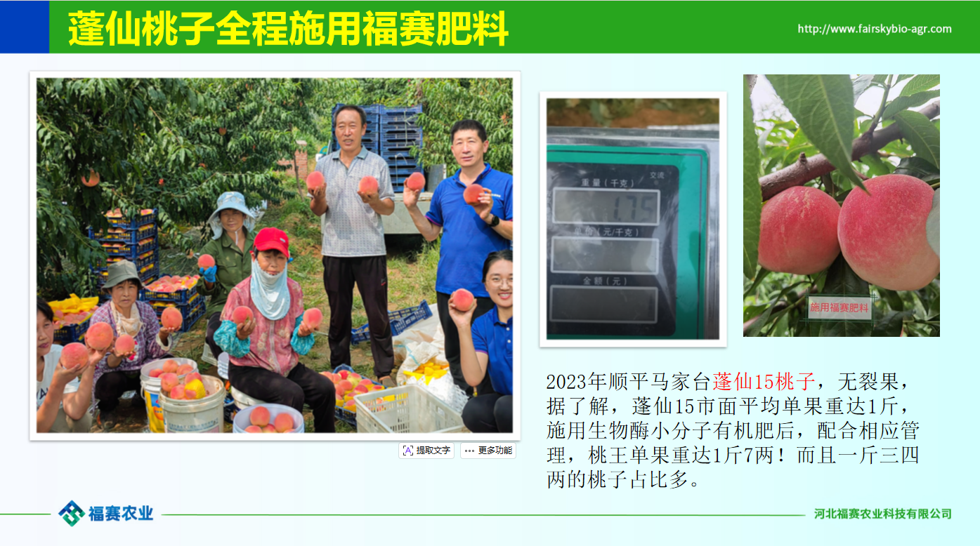 辣椒标准化种植基地