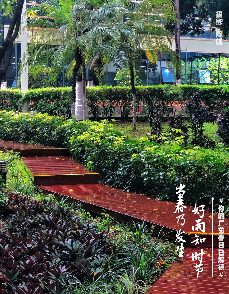 校园环境
