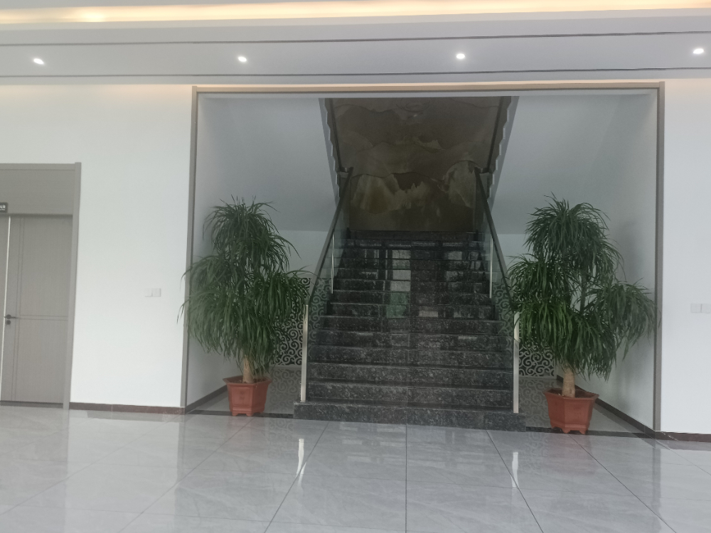 研发团队