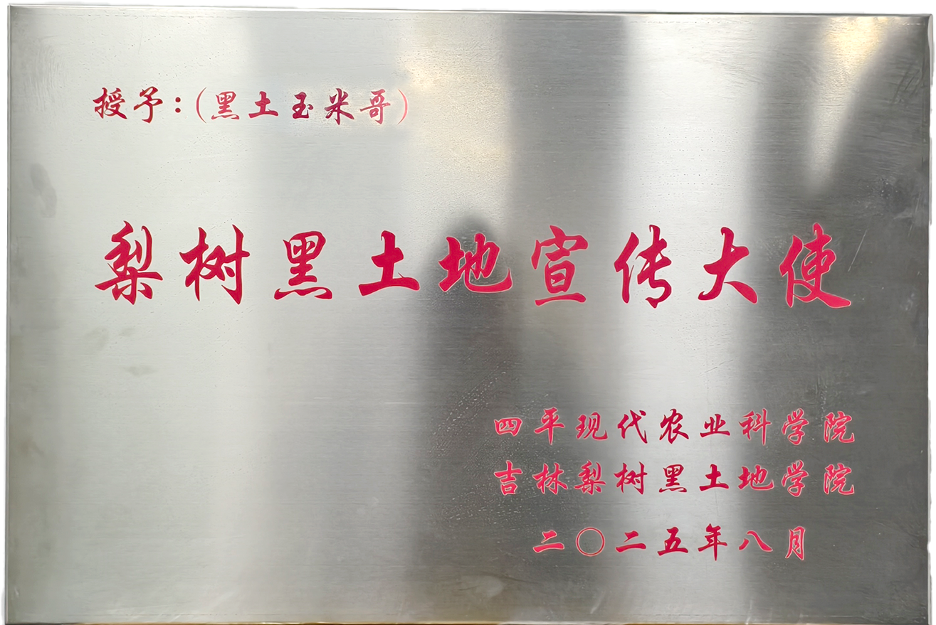 证书