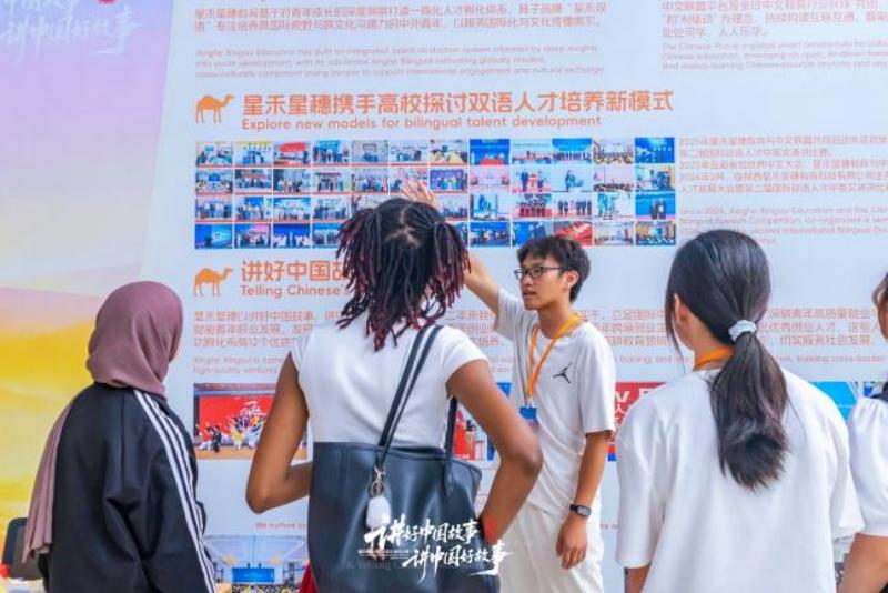 未来趋势与选择总结