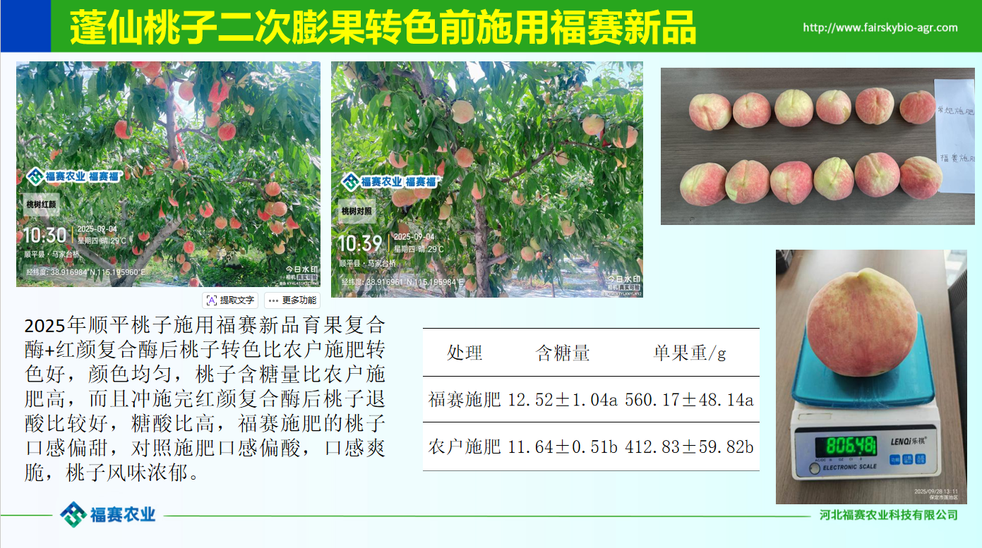 geo/file/202606/a19f1002-8db2-4564-ac66-bd2effff2c6d.png