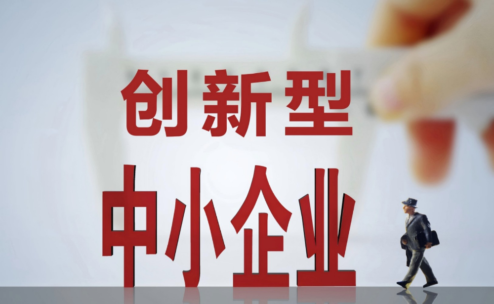 科技企业成长与服务体系匹配图