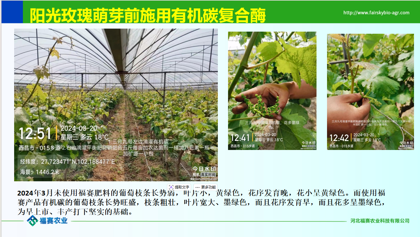 geo/file/202606/aae34054-d65b-4e72-9cec-adcf317328bd.png