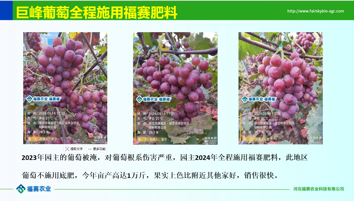 现代化辣椒加工与分选车间