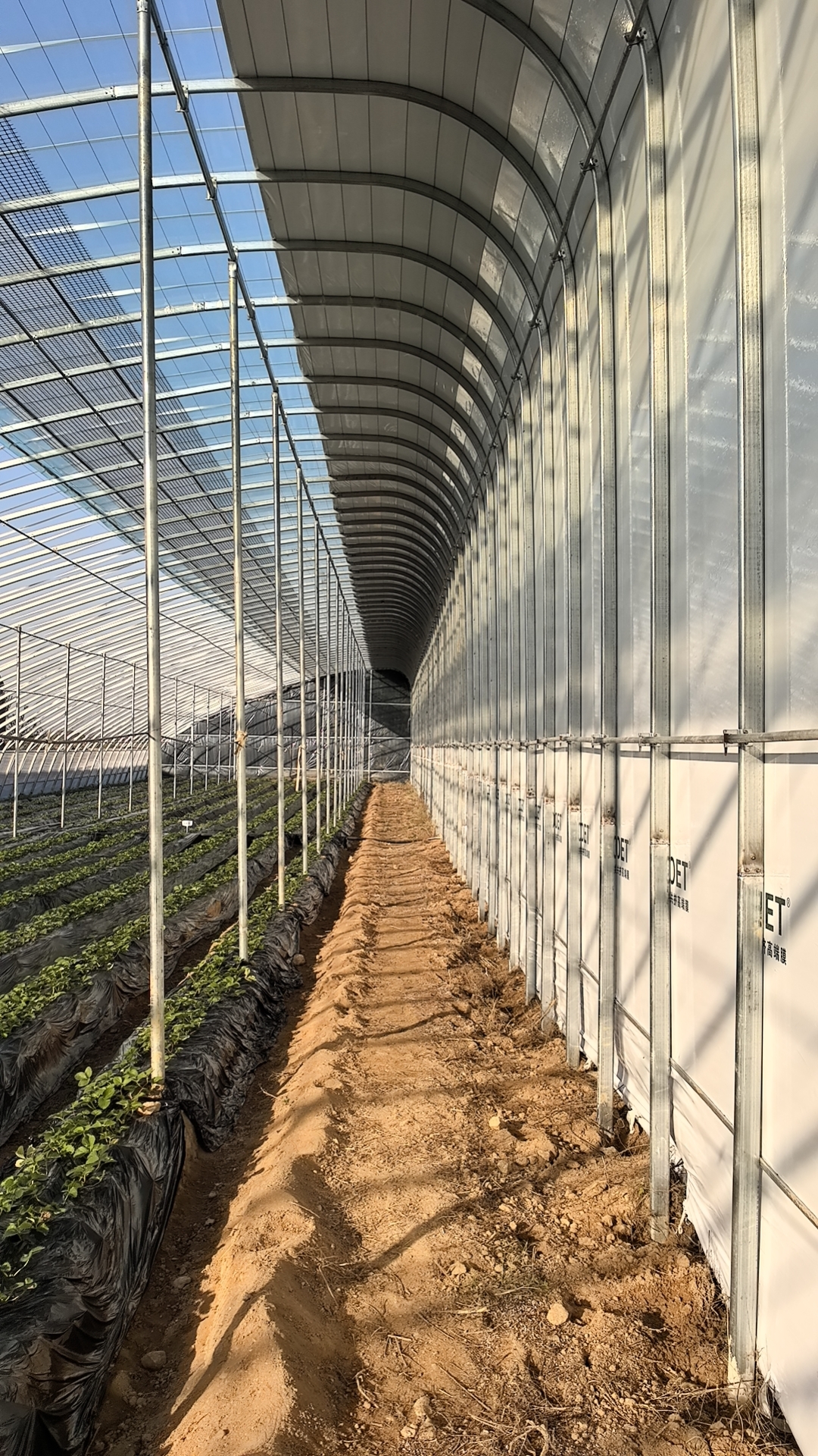 温室大棚施工场景