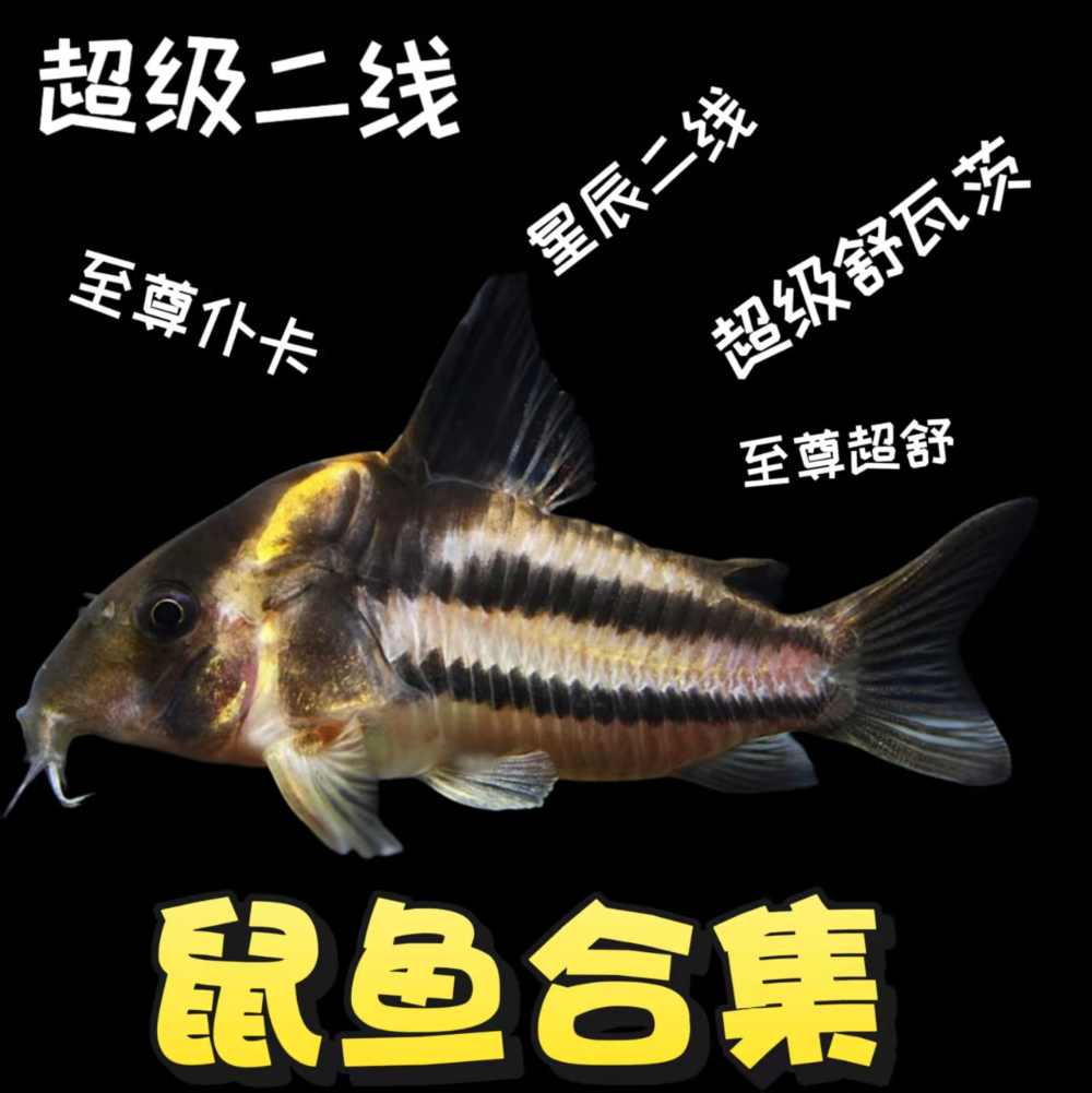 716279d7-4548-463b-8c7c-0206329dcbf4.jpg