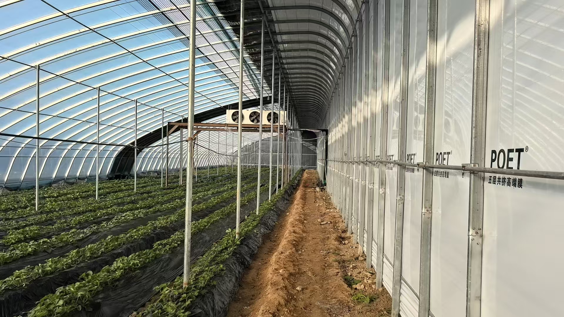 已建成投入使用的拱形大棚项目