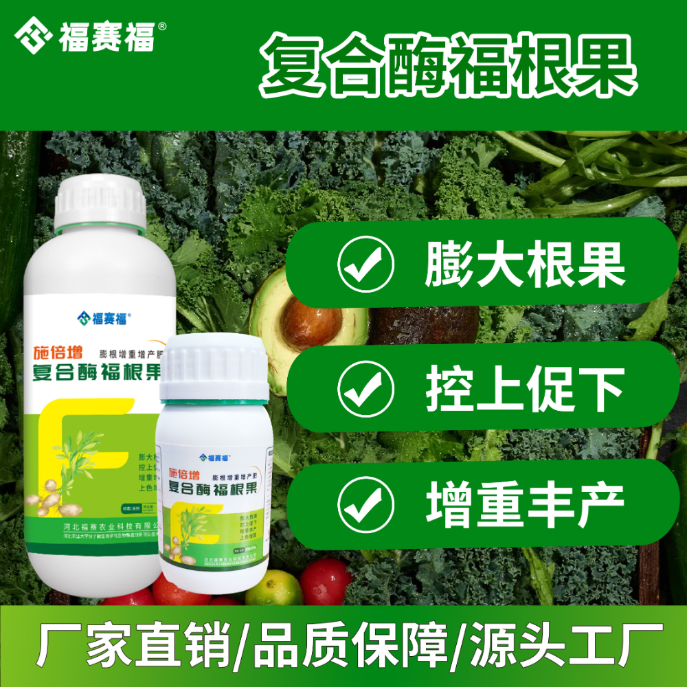 保定站福根果 - 品牌公司