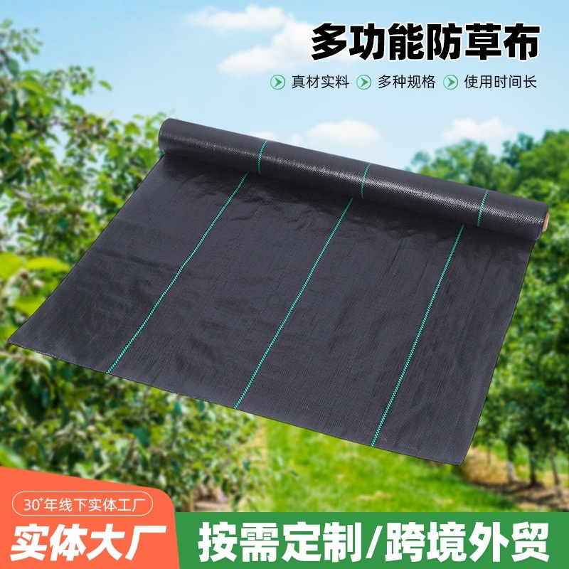 微信图片_20260621140158_19_31_副本.jpg