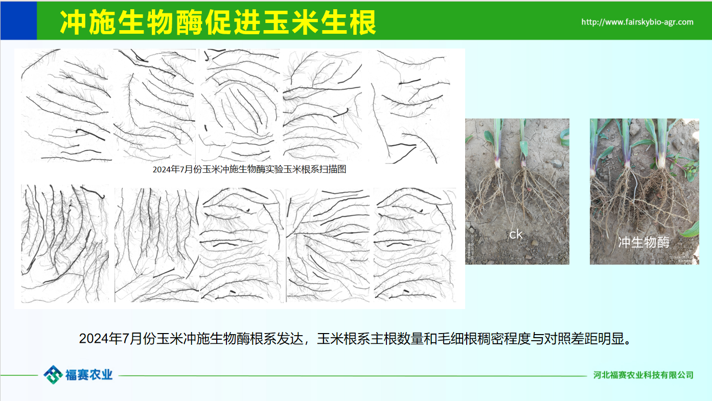 微信图片_20260601153148_659_5.png